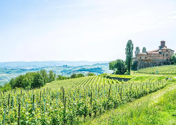 Ferienhaus Pet Friendly In *