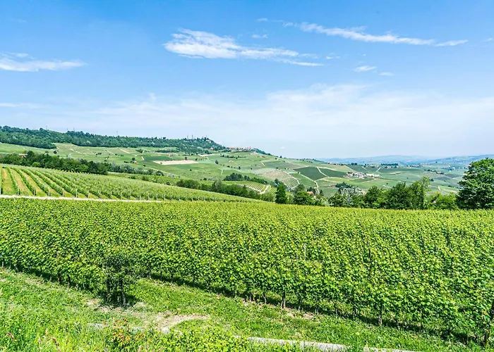 Pet Friendly In Ferienhaus *